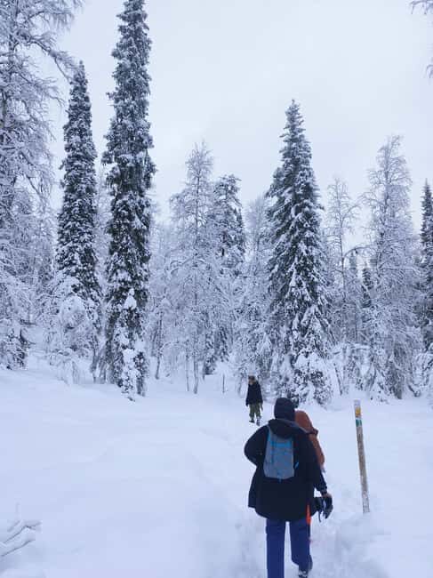 Korouoma Canyon Frozen Waterfalls Hike & Private Teepee BBQ - Practical Details and Considerations