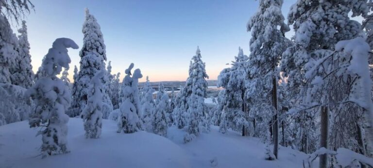 Korouoma Frozen Waterfalls - A Fairy Loop Hike at Canyon - Real Travelers’ Insights