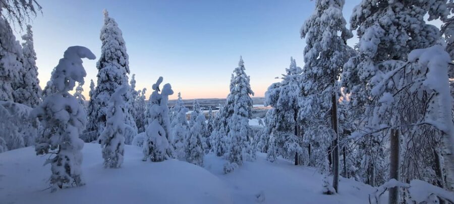 Korouoma Frozen Waterfalls - A Fairy Loop Hike at Canyon - Real Travelers’ Insights