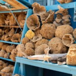 Kos 3 island cruise with Hotel Pick Up and Drop Off - An Honest Look at the 7-Hour Kos 3 Island Cruise