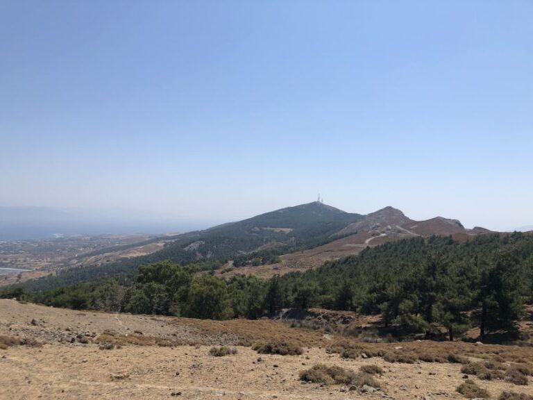 Kos 4x4 Exploration: Panoramic Views, Villages & Flavors - What Sets This Tour Apart?