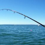 Kos: Fishing Trip Experience with a Greek Fisherman's Family - A Closer Look at the Experience