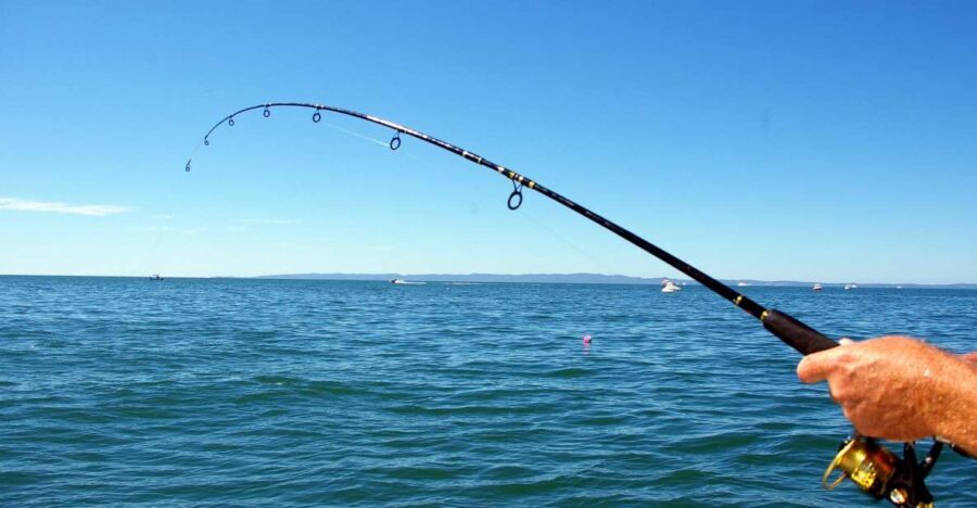 Kos: Fishing Trip Experience with a Greek Fisherman's Family - A Closer Look at the Experience