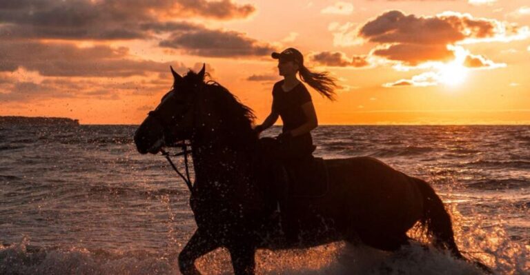 Kos: Horse Riding Experience on the Beach with Instructor - Who Should Consider This Tour?