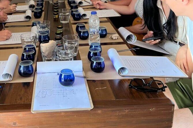 Kos Olive Oil Tasting - Olive Field Tour & Cooking Demostration - Who Will Love This Tour?