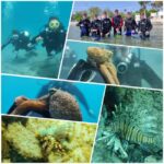 Kos: Scuba Diving Experience with Hotel Pickup - The Itinerary Breakdown