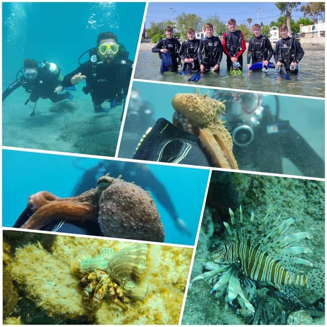 Kos: Scuba Diving Experience with Hotel Pickup - The Itinerary Breakdown