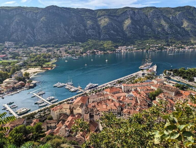Kotor: Old Town Walking Tour and Cooking Class - The Charm of the Market and the Approach to Cooking