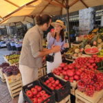 Kotor: Private Walking Tour with Wine and Food Tasting - The Highlights of the Tour