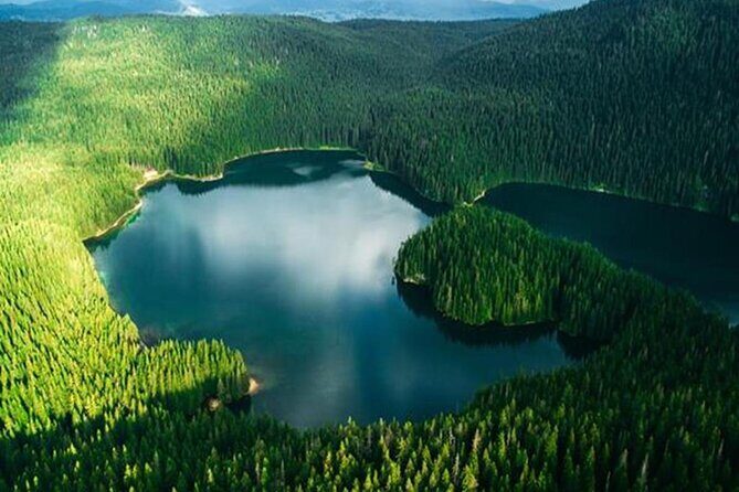 Kotor to Durmitor - Black Lake & Djurdjevica Tara Bridge tour - What to Expect and Practical Tips