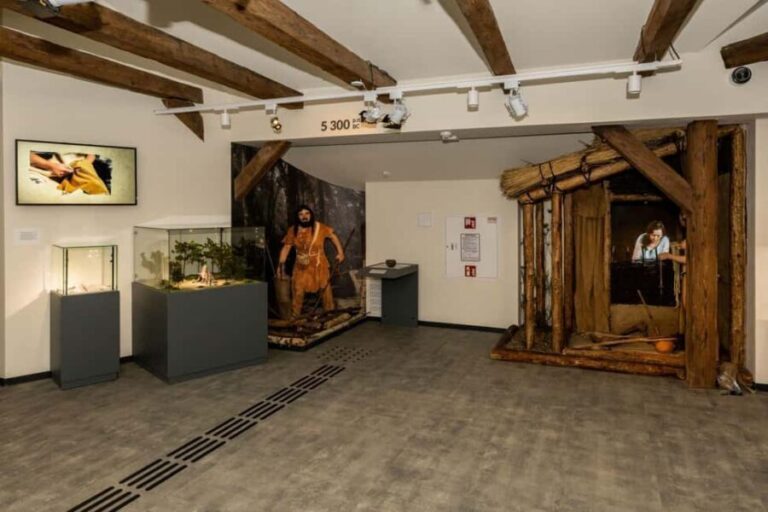 Krakow: Archaeological Museum Entry Ticket - Key Points