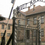 Krakow: Auschwitz-Birkenau Guided Tour or Self-Guided Tour - Who Should Consider This Tour?