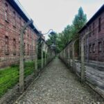 Krakow: Auschwitz-Birkenau Guided Tour with Hotel Transfer - The Value of This Tour