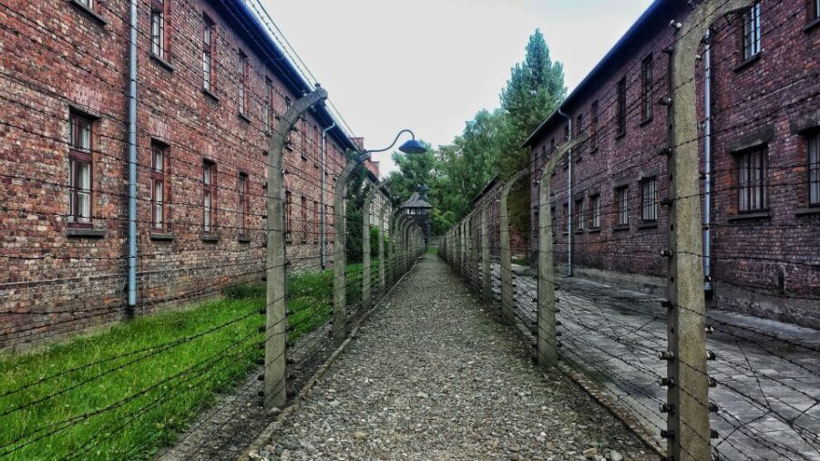 Krakow: Auschwitz-Birkenau Guided Tour with Hotel Transfer - The Value of This Tour
