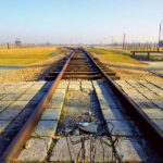 Krakow: Auschwitz-Birkenau Memorial Tour with Optional Lunch - Who Should Consider This Tour?