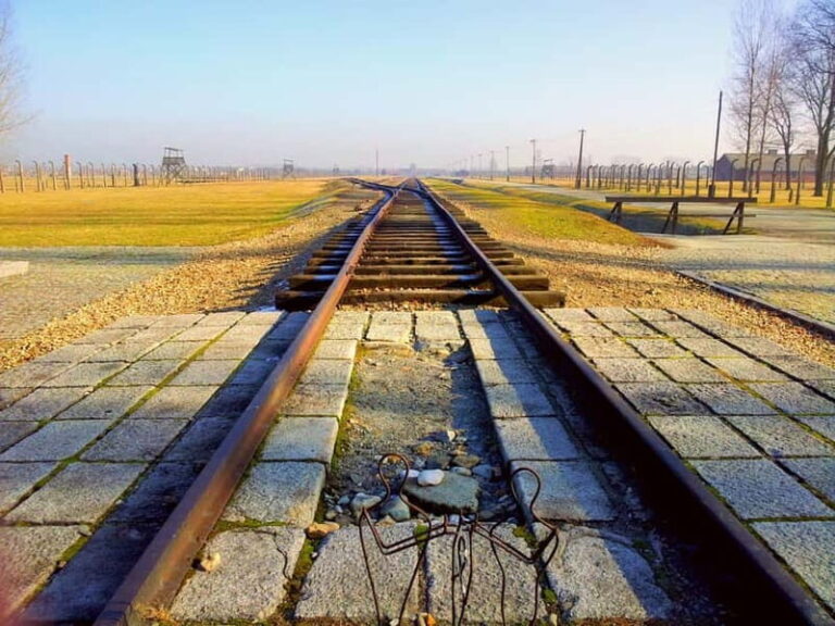 Krakow: Auschwitz-Birkenau Memorial Tour with Optional Lunch - Who Should Consider This Tour?