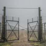 Kraków: Auschwitz-Birkenau & Salt Mine Full-Day Guided Tour - The Real Value of This Tour