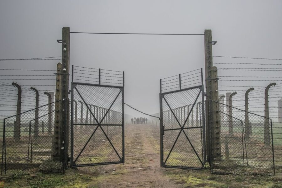 Kraków: Auschwitz-Birkenau & Salt Mine Full-Day Guided Tour - The Real Value of This Tour