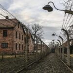 Krakow: Auschwitz-Birkenau & Salt Mine OneDay Tour (hotel pickup) - Final Thoughts: Is This Tour Right for You?