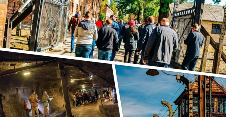 Krakow: Auschwitz & Wieliczka Salt Mine Guided Day Tour - Who Would Love This Tour?