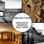 Krakow: Full-Day Auschwitz-Birkenau & Salt Mine Guided Tour - Practical Details and Tips