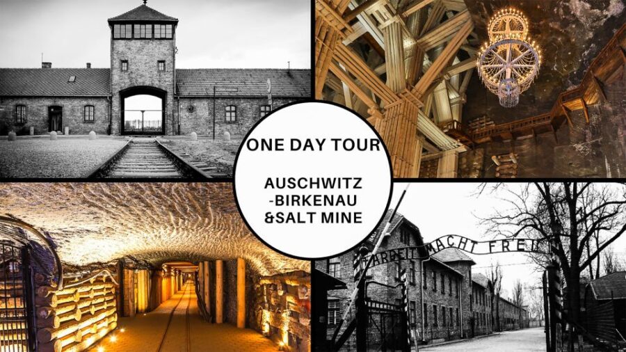 Krakow: Full-Day Auschwitz-Birkenau & Salt Mine Guided Tour - Practical Details and Tips