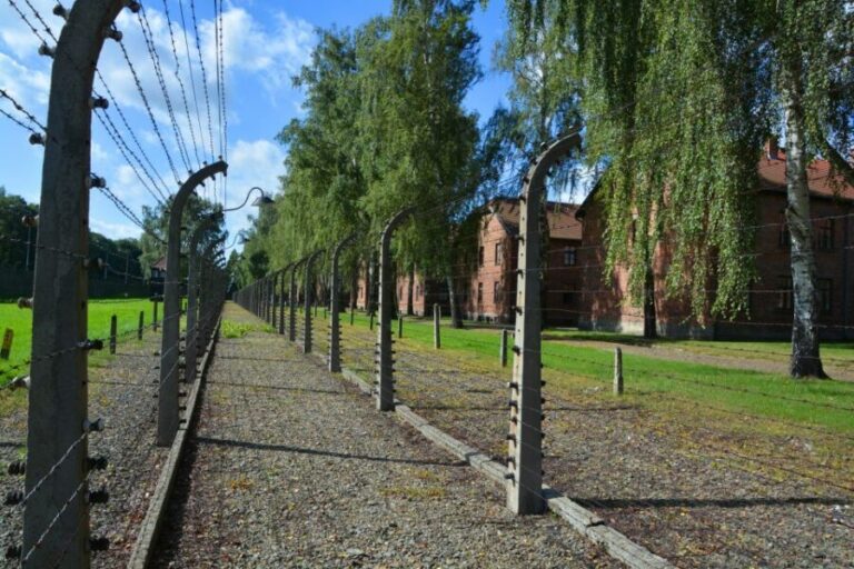 Krakow: Guided Auschwitz Birkenau Tour - The Practicalities: Transportation, Timing, and Value