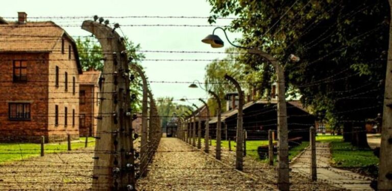 Krakow: Guided Auschwitz-Birkenau Tour - Minivan Transport - Who Will Love This Tour?