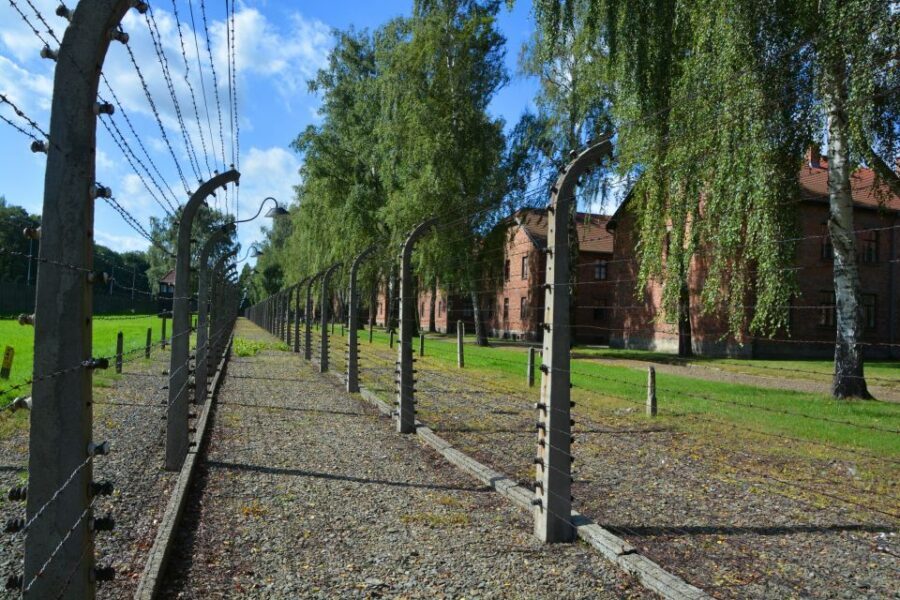 Krakow: Guided Auschwitz Birkenau Tour - The Practicalities: Transportation, Timing, and Value