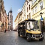 Krakow: Jewish Traces Private Electric Car Tour - The Experience and Practicalities