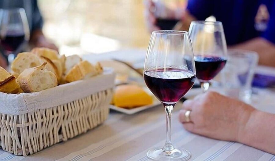 Kraków: Private Lavender Fields & Vineyard Tasting Tour - The Practical Side: What to Know