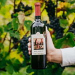 Krakow: Vineyard Tour with Wine Tasting & Dinner - FAQ