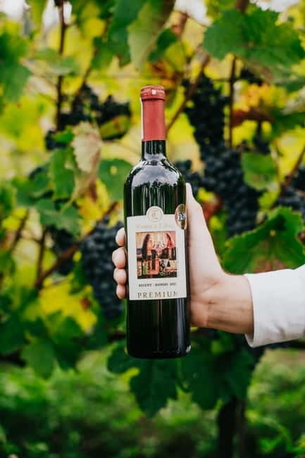 Krakow: Vineyard Tour with Wine Tasting & Dinner - FAQ