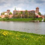 Krakow: Wawel Castle, Cathedral, Rynek Underground & Lunch - Who Will Love This Tour?