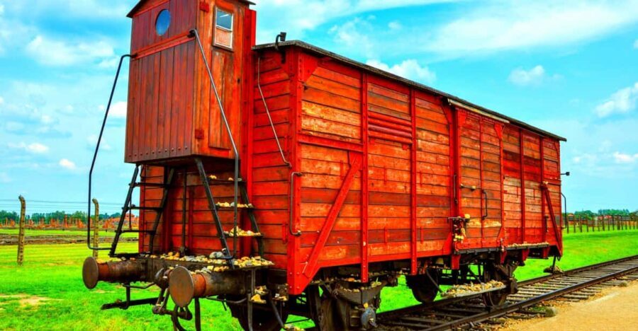 Krakow: Wieliczka Salt Mine and Auschwitz-Birkenau Tour - Detailed Breakdown of the Tour