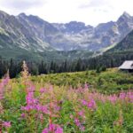 Krakow: Zakopane Horseback Ride & Cheese Tasting & Cable Car - Who Is This Tour Best For?