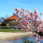 Kristiansand: Guided E-Bike Tour - City & Nature Highlights - What to Expect