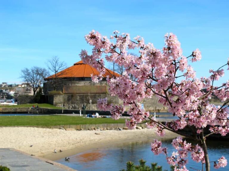 Kristiansand: Guided E-Bike Tour - City & Nature Highlights - What to Expect