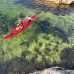 Kristiansand: Scenic Double Sea Kayak Tour around Odderoya - The Sum Up