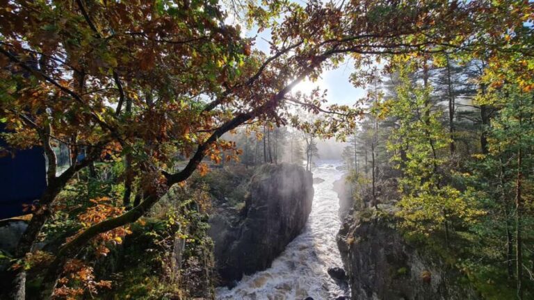 Kristiansand: Wild Salmon Center Guided Tour with Bus Ride - Practical Details and Tips