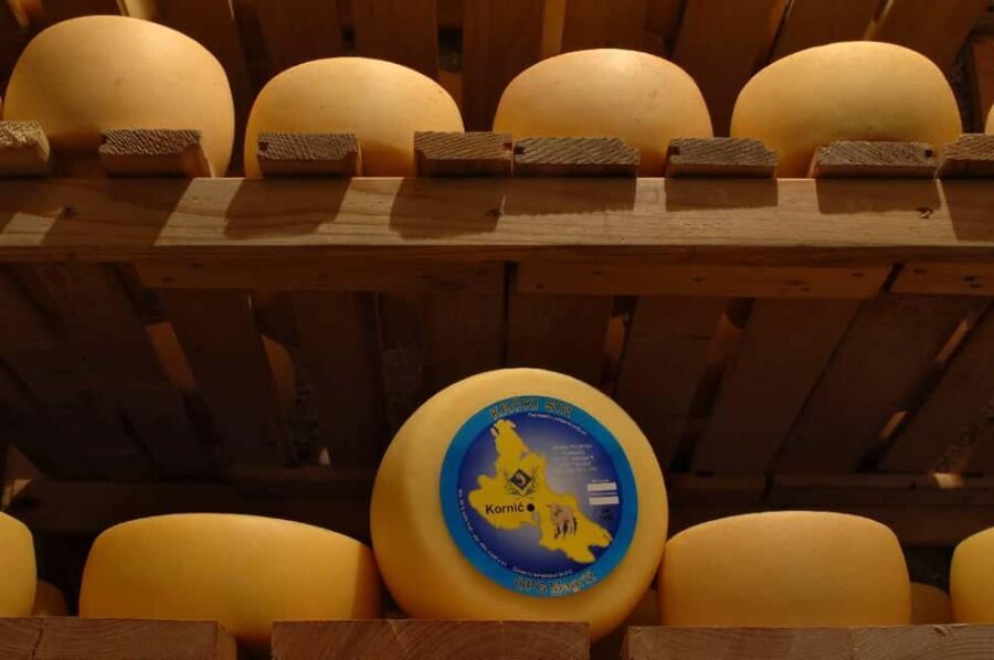 KRK: Cheese factory inside tour and product tastingguide - The Experience Itself: What You Can Expect