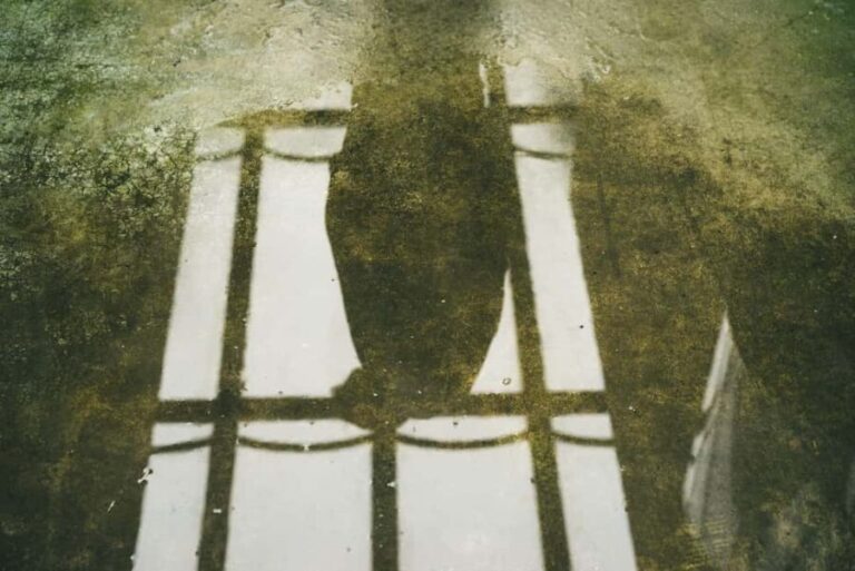 Kröller-Müller Museum: Half-Day Guided Tour from Amsterdam - What Makes This Tour Stand Out