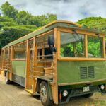 Kualoa Ranch - Kualoa Grown Tour - Who Should Consider This Tour?