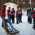 Kuoksa Husky & Reindeer Adventure - Who Is This Tour Best For?