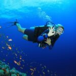 Kusadasi: Diving Experience with Lunch and Transfer - Who Should Consider This Tour?