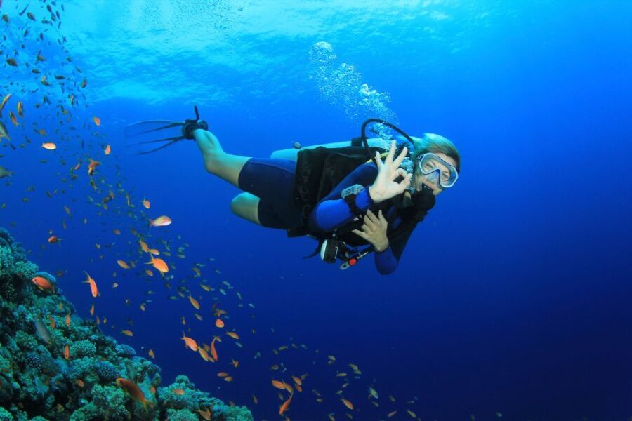 Kusadasi: Diving Experience with Lunch and Transfer - Who Should Consider This Tour?