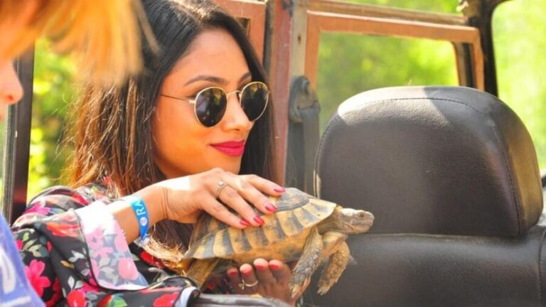 Kusadasi : Jeep Safari Tour - The Return Journey