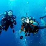 Kusadasi Scuba Diving - What to Expect from Your Kusadasi Scuba Experience