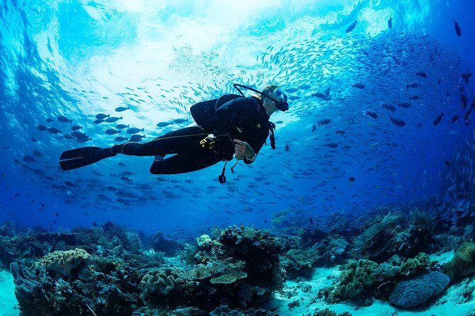 Kusadasi Scuba Diving Experience w/Instructor incl. Transfer - The Experience Itself: Dive Details and Highlights