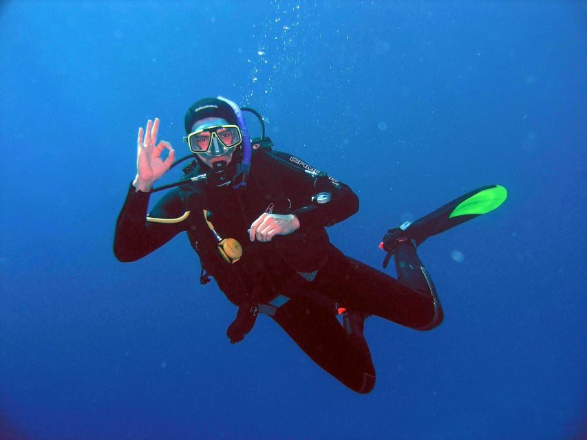 Kusadasi: Scuba Diving for Beginner or Experienced w/ Lunch - The Dive Experience: What’s in Store